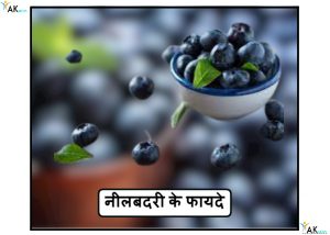 नीलबदरी के फायदे | Blueberry Benefits Khane Ke Fayade
